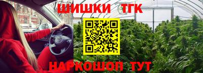 индика Аргун