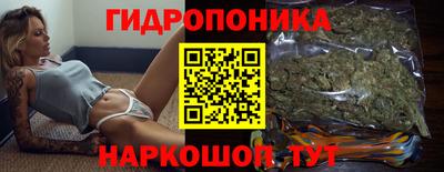 индика Аргун
