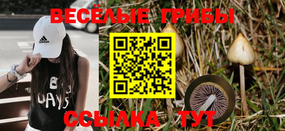 Галлюциногенные грибы ЛСД Богородицк