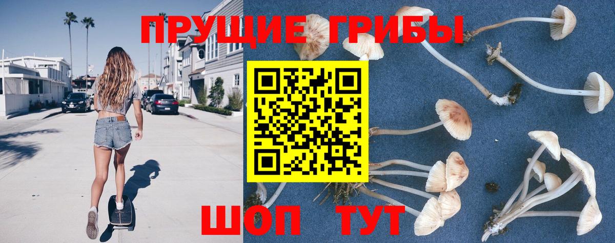 Галлюциногенные грибы прущие грибы  Вход с VPN  Богородицк  Галлюциногенные грибы мицелий 